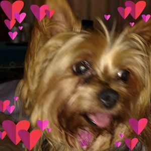 Meet your Posher, Rebecca